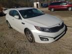KIA - OPTIMA