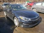 KIA - OPTIMA