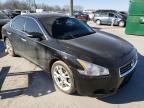 NISSAN - MAXIMA