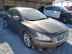 NISSAN - MAXIMA