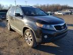 KIA - SORENTO