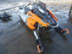 POLAR GODFREYMARINE - SNOWMOBILE