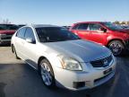 NISSAN - MAXIMA