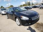 NISSAN - MAXIMA