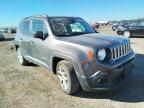 JEEP - RENEGADE