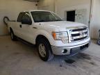 FORD - F-150