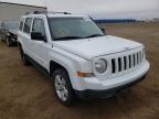 JEEP - PATRIOT