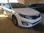 KIA - OPTIMA