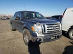 FORD - F-150