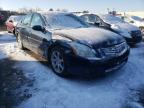 NISSAN - MAXIMA