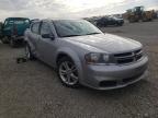 DODGE - AVENGER