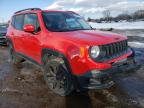 JEEP - RENEGADE