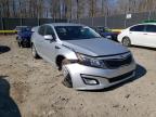 KIA - OPTIMA