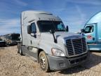 FREIGHTLINER - CASCADIA 1