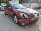 NISSAN - MAXIMA