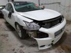 NISSAN - MAXIMA