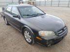 NISSAN - MAXIMA
