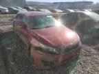KIA - OPTIMA
