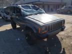 JEEP - CHEROKEE