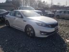 KIA - OPTIMA