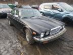 JAGUAR - XJ6