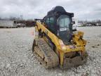 usados CATERPILLAR 299D