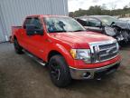 FORD - F-150