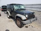 JEEP - WRANGLER