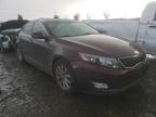 KIA - OPTIMA
