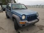 JEEP - LIBERTY