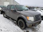 FORD - F-150