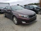 KIA - OPTIMA