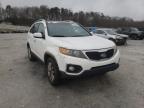 KIA - SORENTO