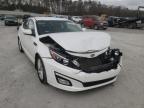 KIA - OPTIMA