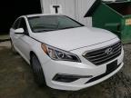 HYUNDAI - SONATA