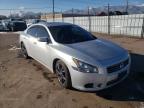 NISSAN - MAXIMA
