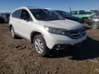 HONDA - CRV