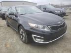 KIA - OPTIMA