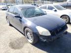 NISSAN - MAXIMA