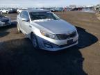 KIA - OPTIMA