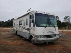 WORKHORSECUSTOMCHASSIS - MOTORHOME