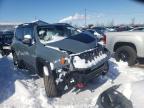 JEEP - RENEGADE