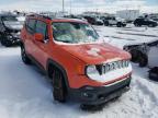 JEEP - RENEGADE