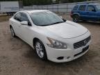 NISSAN - MAXIMA