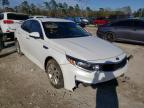 KIA - OPTIMA