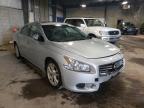 NISSAN - MAXIMA