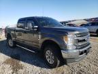 FORD - F250