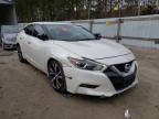 NISSAN - MAXIMA