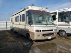 usados WINNEBAGO P30