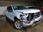 FORD - F-150